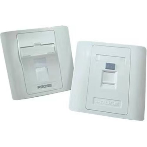 Faceplate 2-Port